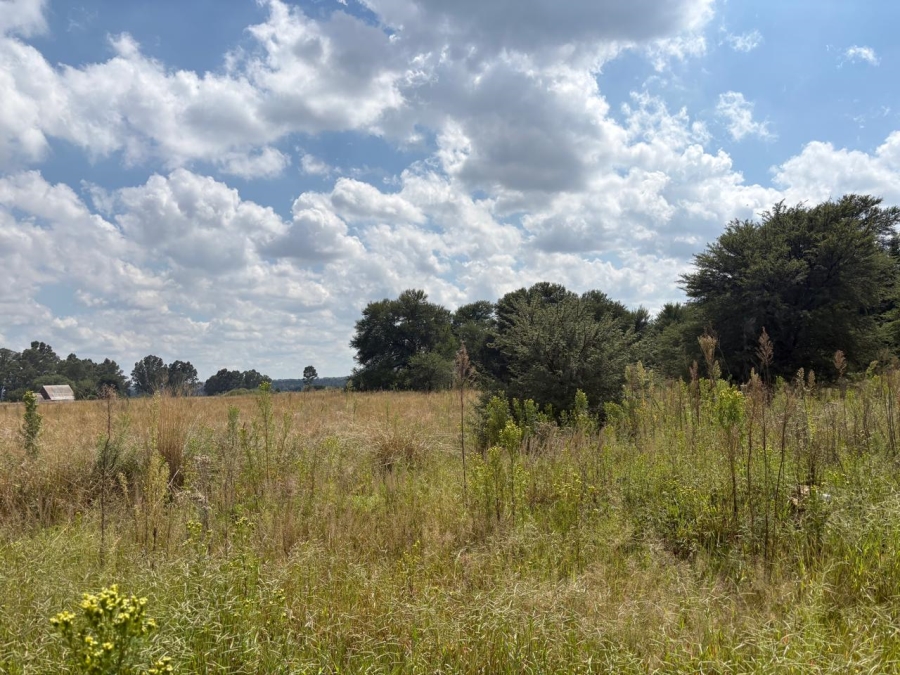 0 Bedroom Property for Sale in Vaalpark Free State